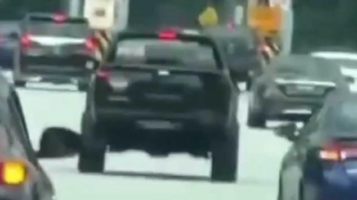 Navara