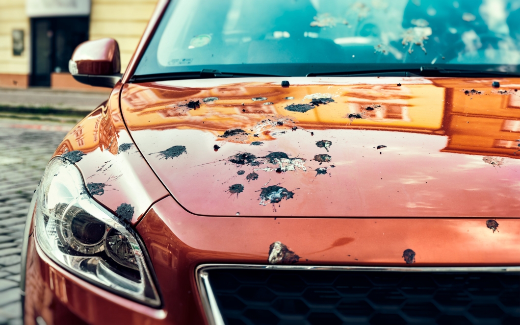 Najis burung sebab sebenar ia merbahaya untuk cat  kereta 