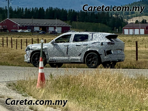 Daily Article Image